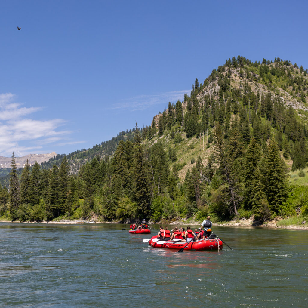 River runners enjoy the Snake River Canyon